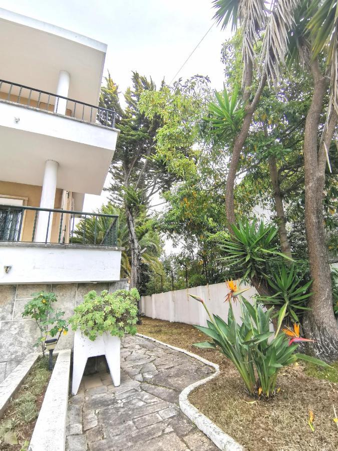 Botanique Guest house