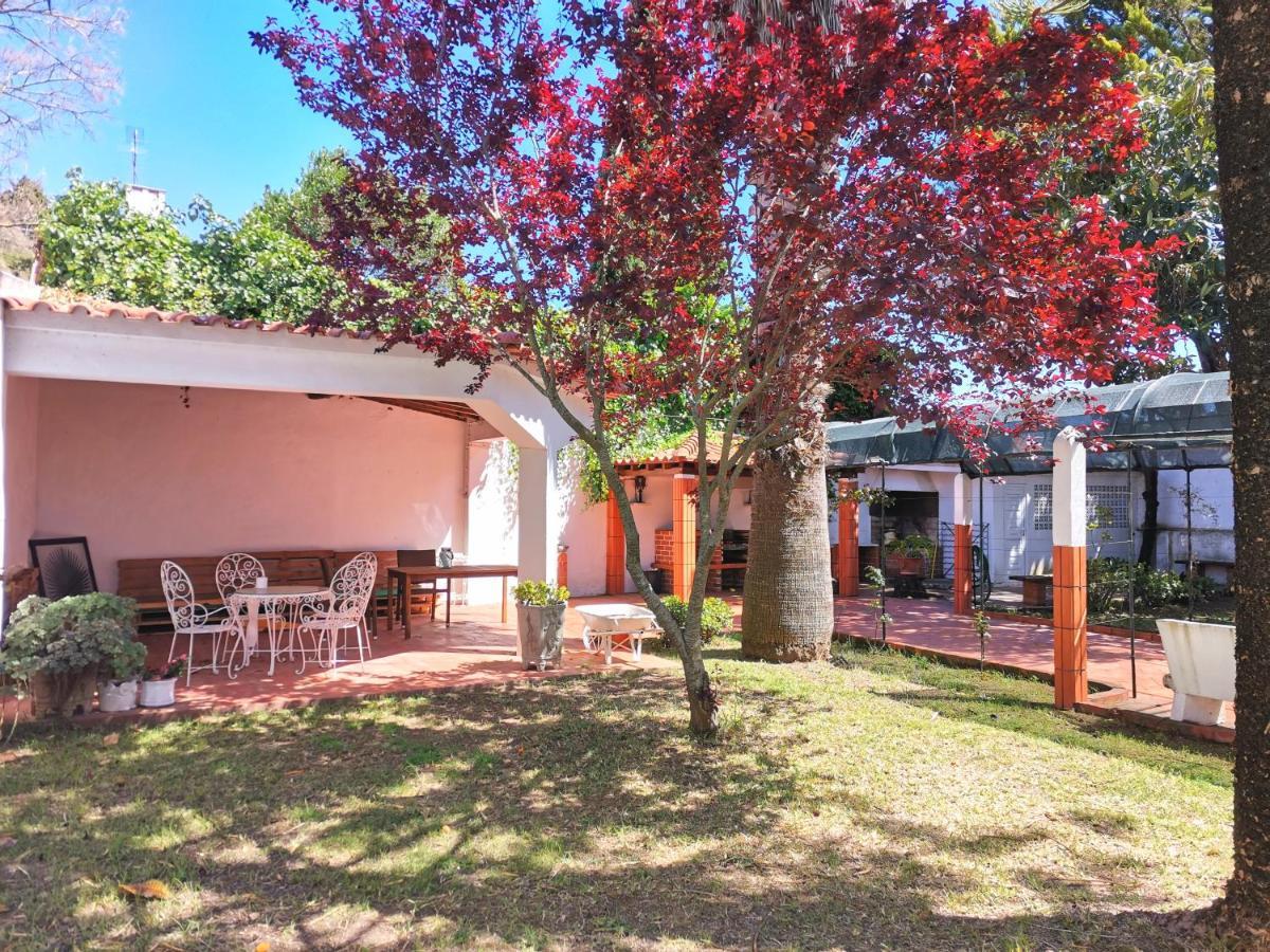 Guest house Botanique Cascais